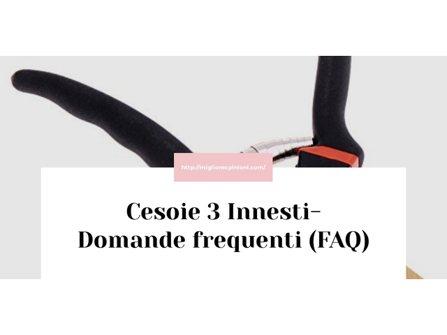 Cesoie 3 Innesti- Domande frequenti (FAQ)