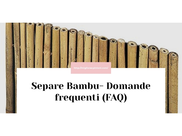 Separe Bambu- Domande frequenti (FAQ)