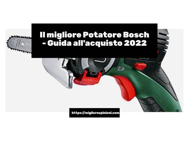 Le migliori marche di Potatore Bosch italiane
