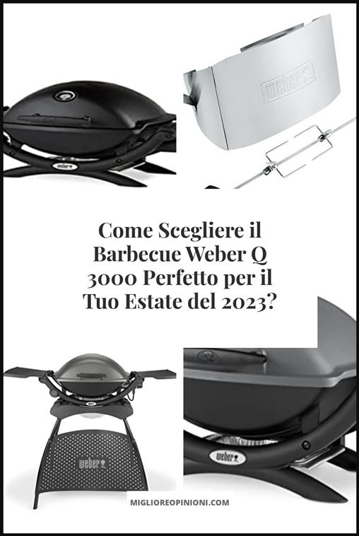 barbecue weber q 3000 - Buying Guide