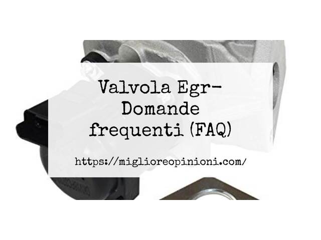 Valvola Egr- Domande frequenti (FAQ)
