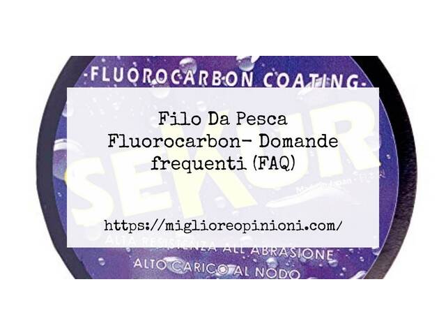 Filo Da Pesca Fluorocarbon- Domande frequenti (FAQ)