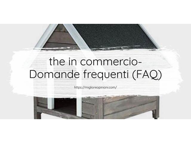 the in commercio- Domande frequenti (FAQ)