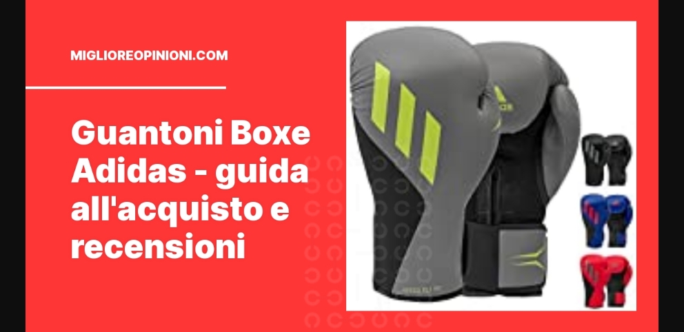 Guantoni Boxe Adidas