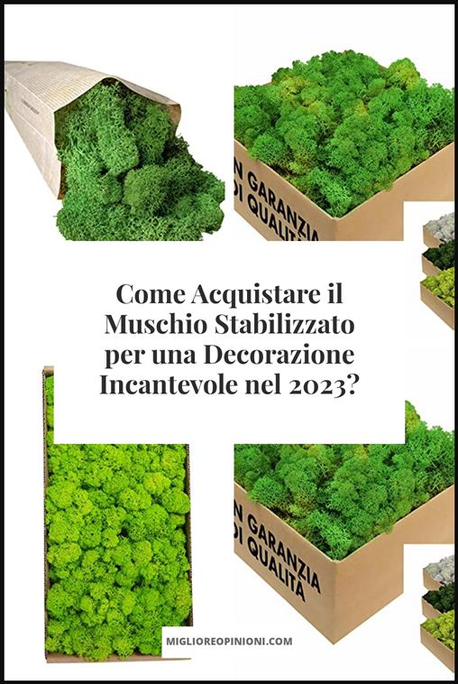 Muschio Stabilizzato - Buying Guide