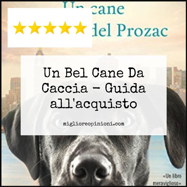 Un Bel Cane Da Caccia - Buying Guide