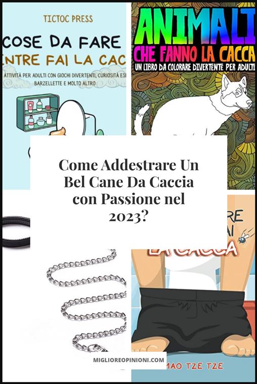 Un Bel Cane Da Caccia - Buying Guide