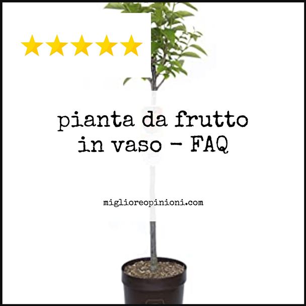 pianta da frutto in vaso - FAQ